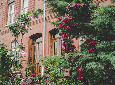 Red brick houses with flowers and bushes at the front